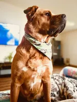 processed/b5be4f98-ed8c-4e8d-b830-cdc60d365802/listing/b2ac3bd3-0dc2-4d9a-9daf-85bd04684de7/f595363d-320a-4cd1-b48d-42cd221d0edb