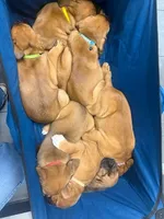 processed/b5be4f98-ed8c-4e8d-b830-cdc60d365802/listing/d32e6cd0-e3c7-45df-b235-4ee6dafbfc0d/0729b4d7-2040-4c2f-ba97-616911c2883e