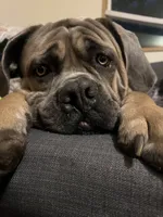 processed/b5be4f98-ed8c-4e8d-b830-cdc60d365802/listing/d32e6cd0-e3c7-45df-b235-4ee6dafbfc0d/19201721-ea0e-43f8-920f-7ffc32b72bc3