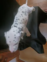 processed/b5bed411-53e7-41c7-915e-afc5210e6739/listing/130bafc2-8e49-43cd-abda-4283e05bf134/f8333a2c-15a7-4a49-ab3d-0d93029a5434