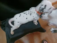 processed/b5bed411-53e7-41c7-915e-afc5210e6739/listing/19f0356c-a449-4d61-8f73-9413e5e3dd54/1e9a9c7b-32f7-4156-93ed-05c2a06aa120