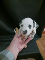 processed/b5bed411-53e7-41c7-915e-afc5210e6739/listing/19f0356c-a449-4d61-8f73-9413e5e3dd54/93a1238a-2c73-47e7-bc93-55edd88a088a