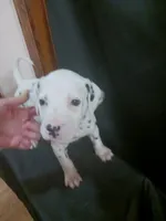 processed/b5bed411-53e7-41c7-915e-afc5210e6739/listing/2f2da00c-1689-40f4-85b1-2aaeedc53d3f/37bea208-89fc-4d31-89d0-32cad32de5a6