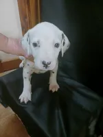 processed/b5bed411-53e7-41c7-915e-afc5210e6739/listing/2f2da00c-1689-40f4-85b1-2aaeedc53d3f/4316b101-5876-406d-8a6f-97b9feffa14e