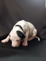 processed/b5bed411-53e7-41c7-915e-afc5210e6739/listing/3ade6405-00b2-4e88-b6fb-e76d7ac30203/3b3eb273-eee9-4944-8c4d-ed7275bdb4a9