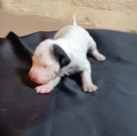 processed/b5bed411-53e7-41c7-915e-afc5210e6739/listing/3ade6405-00b2-4e88-b6fb-e76d7ac30203/a3275785-f158-4cce-b943-9be24bf33e2d