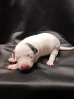 processed/b5bed411-53e7-41c7-915e-afc5210e6739/listing/3ade6405-00b2-4e88-b6fb-e76d7ac30203/fb70e11b-4b15-46fc-bb1b-ced36319c8db