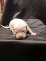 processed/b5bed411-53e7-41c7-915e-afc5210e6739/listing/3bef65b1-aaab-40f3-b1e5-cb527fbc4642/44a57508-303c-4a56-be7a-c697a16cb107