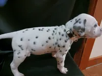 processed/b5bed411-53e7-41c7-915e-afc5210e6739/listing/4f4f8ee7-0e37-4644-a546-319d8f008756/84f38d07-33e8-418a-9572-e8588dad079a