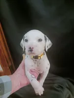 processed/b5bed411-53e7-41c7-915e-afc5210e6739/listing/52954b4d-32cd-4d51-9958-d05aa6287d61/8c51bd54-09bb-4fb4-95c3-5e9d93138630