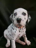 processed/b5bed411-53e7-41c7-915e-afc5210e6739/listing/5cfba6ae-81cb-412a-969b-e62b740bfe87/ba66f0eb-8eb9-4b61-9553-7b8e07d0970b