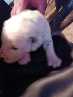 processed/b5bed411-53e7-41c7-915e-afc5210e6739/listing/5cfba6ae-81cb-412a-969b-e62b740bfe87/f19f70d6-32eb-41bd-a243-2a817876bca8