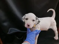 processed/b5bed411-53e7-41c7-915e-afc5210e6739/listing/8593e4df-df31-4ff5-b874-18c5d745255f/844675a4-967f-4ce6-98e6-84b960d3c7f2