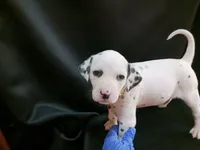 processed/b5bed411-53e7-41c7-915e-afc5210e6739/listing/8593e4df-df31-4ff5-b874-18c5d745255f/c220e480-e6fb-48e0-9927-0449c220fba2