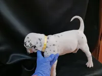 processed/b5bed411-53e7-41c7-915e-afc5210e6739/listing/8593e4df-df31-4ff5-b874-18c5d745255f/ecbfaac9-6362-4796-aeeb-4f63e156ec7b