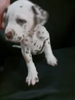 processed/b5bed411-53e7-41c7-915e-afc5210e6739/listing/94604915-9588-4d8a-95e4-03df3bac7ecc/283ae073-6491-4bc9-ae89-3389c5b2e6f0