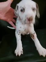 processed/b5bed411-53e7-41c7-915e-afc5210e6739/listing/94604915-9588-4d8a-95e4-03df3bac7ecc/310ebfc6-7e01-4dda-aa5b-208ccdcf0b00