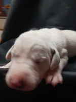 processed/b5bed411-53e7-41c7-915e-afc5210e6739/listing/94604915-9588-4d8a-95e4-03df3bac7ecc/3edb0e1a-f601-4a92-920e-43b590771ac6