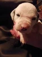 processed/b5bed411-53e7-41c7-915e-afc5210e6739/listing/94604915-9588-4d8a-95e4-03df3bac7ecc/ba218f0c-22a2-4a73-84b1-5f467615cfaa