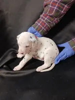 processed/b5bed411-53e7-41c7-915e-afc5210e6739/listing/ae597f9f-1144-4a17-93db-2c2861f246f0/9c978e18-2827-48ee-8171-ce89c8cb903c