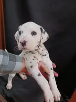 processed/b5bed411-53e7-41c7-915e-afc5210e6739/listing/ae597f9f-1144-4a17-93db-2c2861f246f0/ae49b55a-09bd-47b1-abe2-ab2b46a7d76c