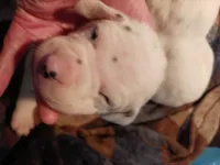 processed/b5bed411-53e7-41c7-915e-afc5210e6739/listing/ae597f9f-1144-4a17-93db-2c2861f246f0/ed64289b-b16b-4a7c-9bc9-6e7beeb7118e