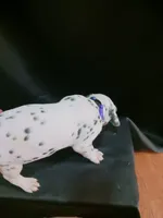 processed/b5bed411-53e7-41c7-915e-afc5210e6739/listing/b6b85ace-0ad8-4226-9d04-881566f37ce7/16452495-b018-4f02-a82c-b0136bf300c3