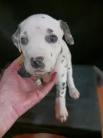 processed/b5bed411-53e7-41c7-915e-afc5210e6739/listing/b6b85ace-0ad8-4226-9d04-881566f37ce7/4aad7a06-e520-4b6b-be52-6f1a983c2ec4