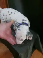 processed/b5bed411-53e7-41c7-915e-afc5210e6739/listing/b6b85ace-0ad8-4226-9d04-881566f37ce7/c4536b08-0ad2-4ae1-bc05-9c2eca024575