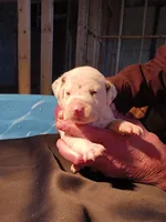 processed/b5bed411-53e7-41c7-915e-afc5210e6739/listing/bcfd388e-271f-46b6-85d7-b42666ce79c7/27d0933d-e163-4eec-bb84-3c0068d0f89a