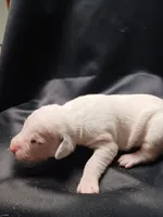 processed/b5bed411-53e7-41c7-915e-afc5210e6739/listing/bcfd388e-271f-46b6-85d7-b42666ce79c7/30d440d9-6f75-4d0d-a518-7f75ebc337e1