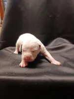 processed/b5bed411-53e7-41c7-915e-afc5210e6739/listing/ca20b116-0cf9-451e-99d4-ba724a0c1b6b/0ac85a7a-7aa2-4e17-a5cc-d42c91d607c4