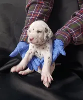 processed/b5bed411-53e7-41c7-915e-afc5210e6739/listing/ca20b116-0cf9-451e-99d4-ba724a0c1b6b/5a0eafd7-34c1-4644-acd1-4ac3a0b83c42