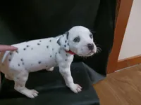 processed/b5bed411-53e7-41c7-915e-afc5210e6739/listing/d9271079-69fc-4533-881c-4f830f7d7fe9/975fda85-4e10-4563-bf3b-7d8778080533