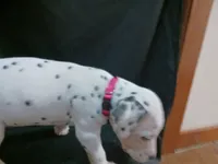 processed/b5bed411-53e7-41c7-915e-afc5210e6739/listing/d9271079-69fc-4533-881c-4f830f7d7fe9/c5694aff-8e69-4a15-ad28-a48cd9db6477