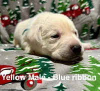 processed/b5c30922-6077-4caf-ac82-efe69d6da9de/listing/77e52368-45c7-4086-9e32-aeeff1db2527/36ee525c-cd2b-4226-8a55-b5fafdc189a7