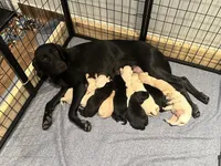 processed/b5c30922-6077-4caf-ac82-efe69d6da9de/listing/77e52368-45c7-4086-9e32-aeeff1db2527/48ebaa87-f31c-4ab9-a0ae-8edd0bfa0b96