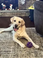 processed/b5c30922-6077-4caf-ac82-efe69d6da9de/listing/77e52368-45c7-4086-9e32-aeeff1db2527/550a9c42-c684-4c84-a532-0ae9971e0bf8