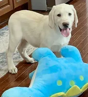 processed/b5c30922-6077-4caf-ac82-efe69d6da9de/listing/77e52368-45c7-4086-9e32-aeeff1db2527/9d8e35f6-a7fe-46b1-87a9-f548317ae12e