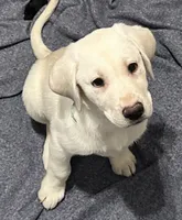 processed/b5c30922-6077-4caf-ac82-efe69d6da9de/listing/77e52368-45c7-4086-9e32-aeeff1db2527/a3b7c287-8aab-4300-b7ff-523ab05d8eae