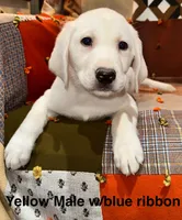 processed/b5c30922-6077-4caf-ac82-efe69d6da9de/listing/77e52368-45c7-4086-9e32-aeeff1db2527/d2009c85-6b52-4e23-a35a-04d5d6bca9f3