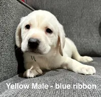 processed/b5c30922-6077-4caf-ac82-efe69d6da9de/listing/77e52368-45c7-4086-9e32-aeeff1db2527/f5fce56a-08a9-4381-bf4c-70f56cf9a4dd