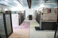 processed/b5d5d507-8f58-4d3a-a2b8-50fb9ddf2994/facility/663da284-0747-4d88-81c3-d9630012314d