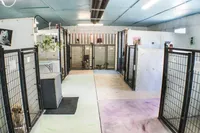 processed/b5d5d507-8f58-4d3a-a2b8-50fb9ddf2994/facility/88b9e0ef-66ce-48f3-bde3-7af95f26b940