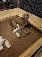 processed/b5dbee1a-fead-4487-9fc5-e85fa0f0d939/facility/413460c2-d92b-4836-8b85-03d9f2272a2f