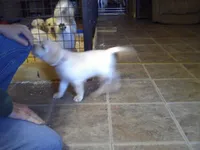 processed/b5dbee1a-fead-4487-9fc5-e85fa0f0d939/facility/ff09dab3-4030-4b54-b51e-c45f50117be5