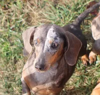 processed/b5e45e97-42e7-4d8f-a0b0-08ea1f5c505a/facility/076cc92c-8d41-4879-9ae3-2bd3e9db2870