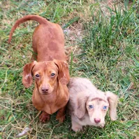 processed/b5e45e97-42e7-4d8f-a0b0-08ea1f5c505a/facility/0e716f19-9814-4404-9b61-f263f8980a7f