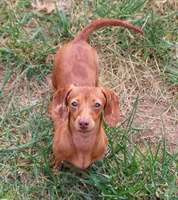 processed/b5e45e97-42e7-4d8f-a0b0-08ea1f5c505a/facility/12c1abb6-3862-4b32-b36c-fb5ec2439395