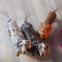 processed/b5e45e97-42e7-4d8f-a0b0-08ea1f5c505a/facility/285aafea-0603-4434-99ad-3ef1e8d8203a